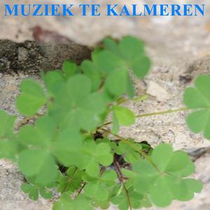 Muziek Te Kalmeren