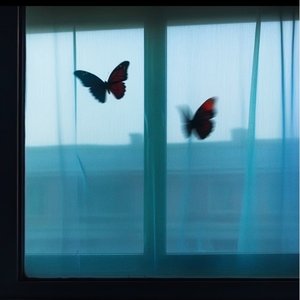 小半（Cover 陈粒）