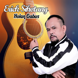 Holan Gabus