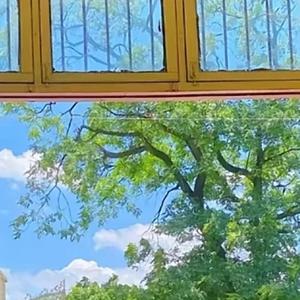 就像浪花吻不到晚霞