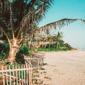 适合办公事务陶醉的音乐