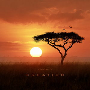 Creation