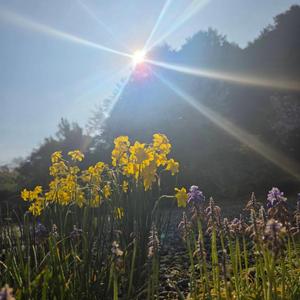 太陽の奇跡(World Peace Song)