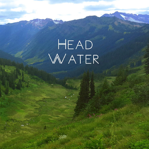 Headwater