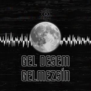 Gel Desem Gelmezsin