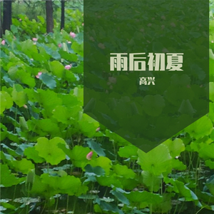 雨后初夏