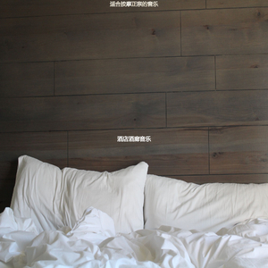 静止热情的爵士