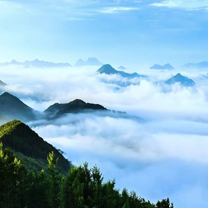 旋律电摇 (DJ版)