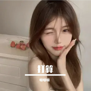 坏事儿做尽的小猫