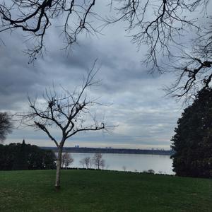 what a beautiful sound