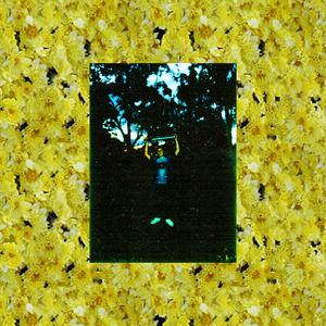 Knights in Crumpled Corduroy