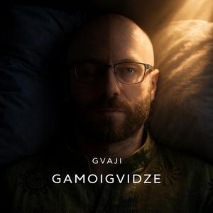 Gamoigvidze