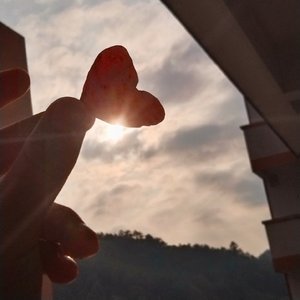 桔梗（prod.by.Morrow）