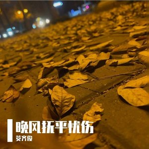 晚风抚平忧伤