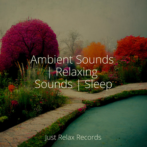 Mending in Moonlight