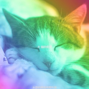 有趣可爱的猫情怀