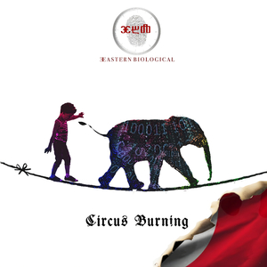 Circus Burning