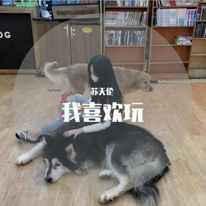 我喜欢玩 (DJ版)