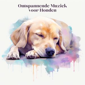Ontspannende Muziek voor Honden, Pt. 1