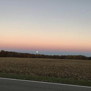 squinted eyes & open skies (instrumental sample) (Instrumental) (Instrumental)