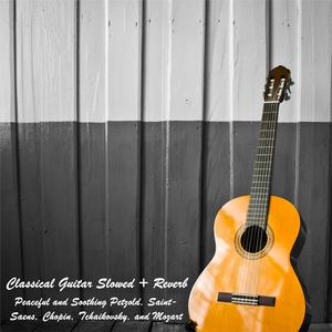 The Swan from the Carnival of the Animals