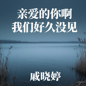亲爱的你啊 我们好久没见