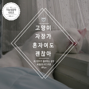 [고양이 자장가] 또 하나의 가족 (골골송 갸르릉 Purr 소리 믹스)