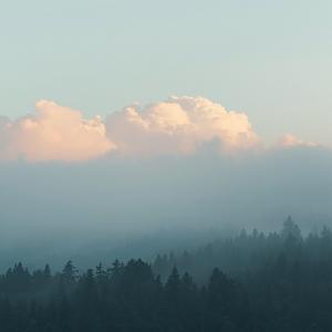 Early Spring Light