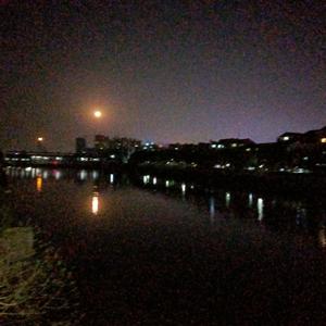 坏女孩原唱徐良小凌