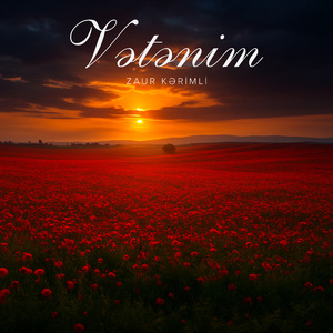 Vətənim
