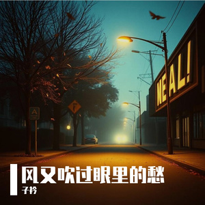 风又吹过眼里的愁