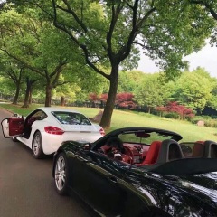 蹦迪电音 (dj版)