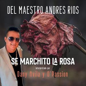 Se Marchito La Rosa (feat. Dany Avila y O'Passion)