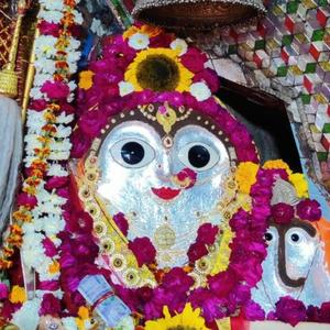 Medo norta me lagyo bijasan mai ko