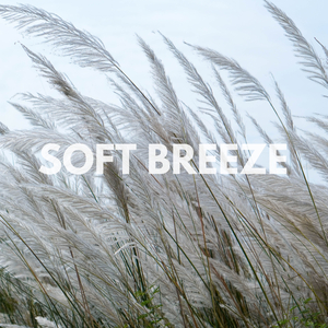 Soft Breeze
