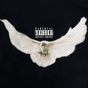 飞行随笔3.0 (Prod By 9Zi)