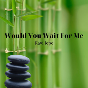 Would You Wait For Me