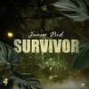 Junior Reid - Survivor