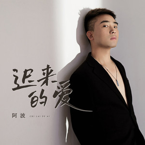 迟来的爱 (阿波版)