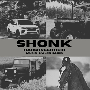 Shonk