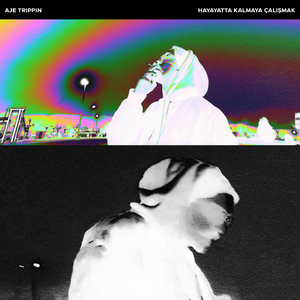 Hayatta Kalmaya Çalışmak