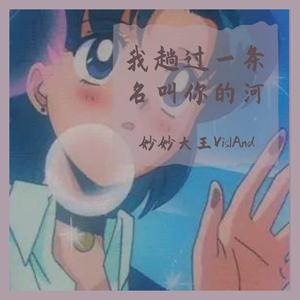 野小马-我趟过一条名叫你的河（妙妙大王VislAnd remix）