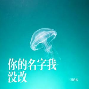 你的名字我没改