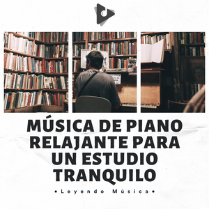 Sesión De Estudio