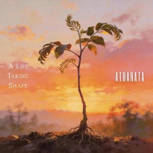 A Life Taking Shape