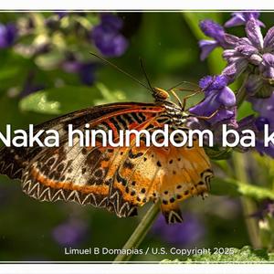 NA KA HINUMDOM BA KA?