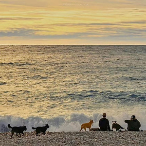 最想环游的世界