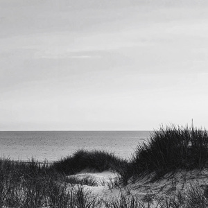 A Thousand Tidal Shadows (Under My Nails)