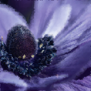 Ulex
