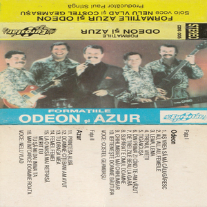 Din prima zi cand te-am vazut